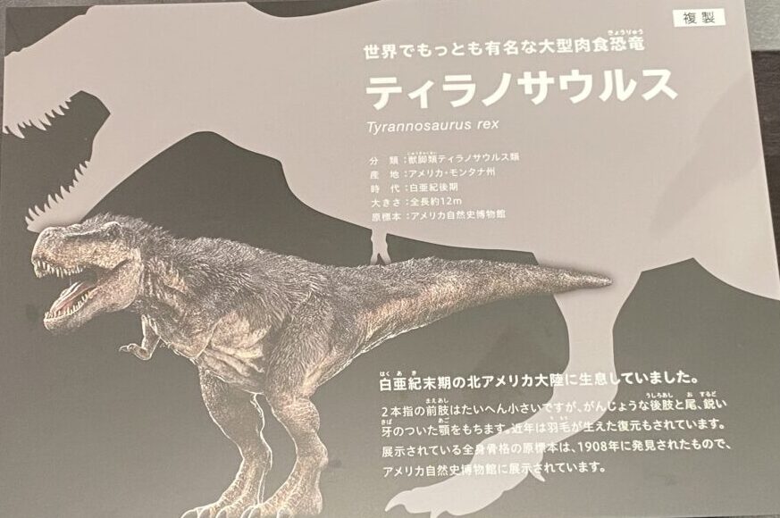 世界でもっとも有名な大型肉食獣。ティラノサウルス